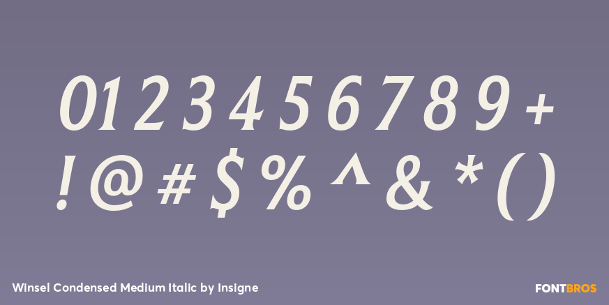 Winsel Condensed Medium Italic Font Poster #4