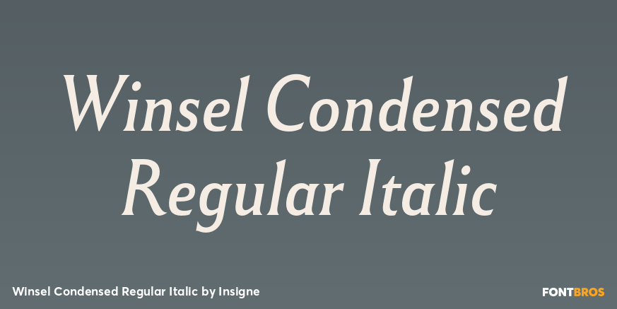 Winsel Condensed Regular Italic Font Poster #1