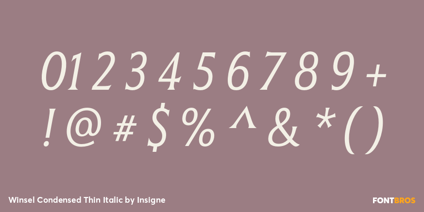 Winsel Condensed Thin Italic Font Poster #4