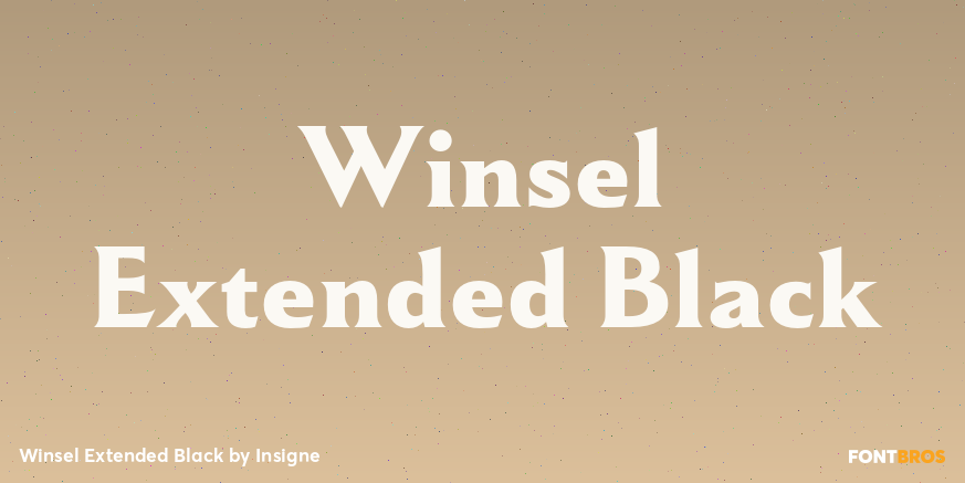 Winsel Extended Black Poster