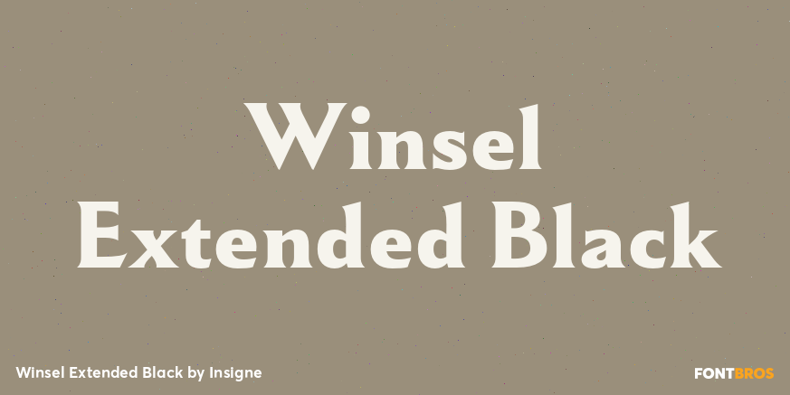 Winsel Extended Black Poster