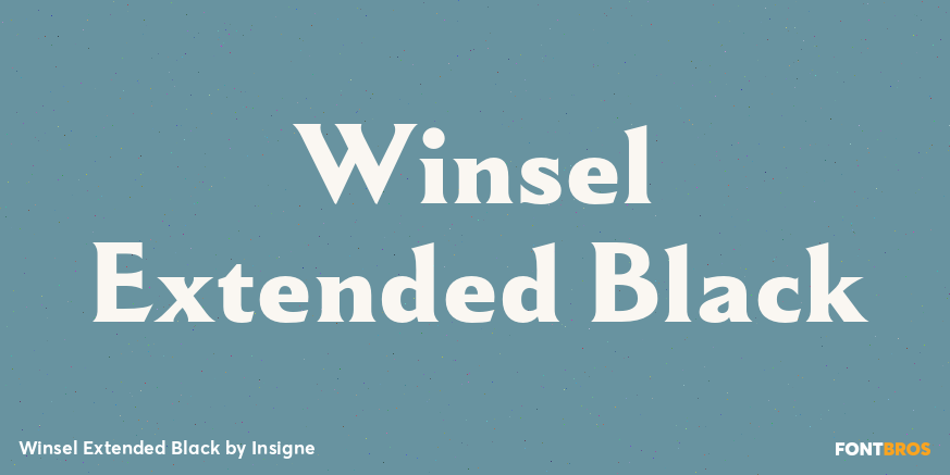 Winsel Extended Black Poster