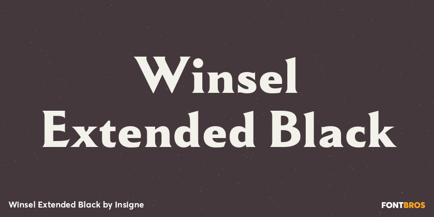 Winsel Extended Black Poster