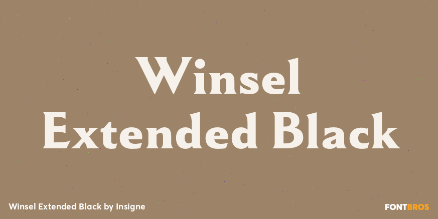 Winsel Extended Black Poster