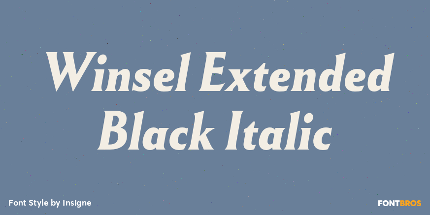 Winsel Extended Black Italic Font Poster #1