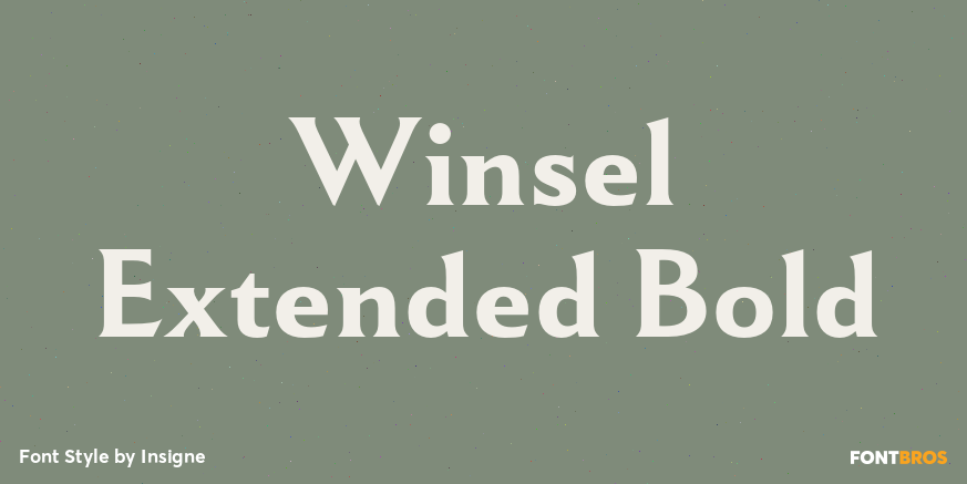 Winsel Extended Bold Font Poster #1