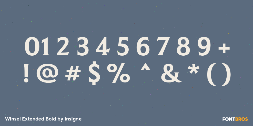 Winsel Extended Bold Font Poster #1