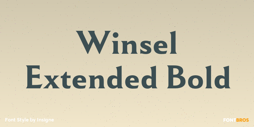 Winsel Extended Bold Font Poster #1