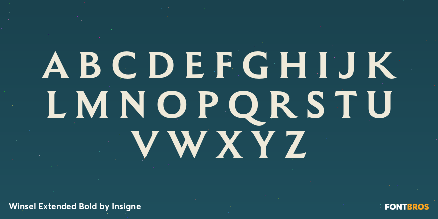 Winsel Extended Bold Font Poster #1