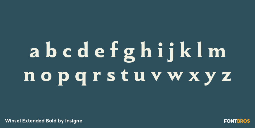 Winsel Extended Bold Font Poster #1