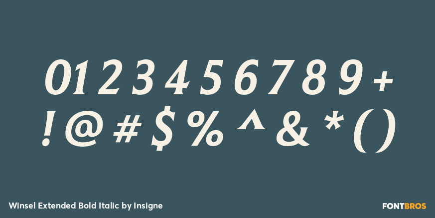Winsel Extended Bold Italic Font Poster #4