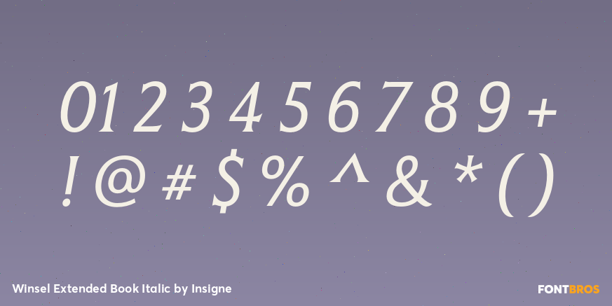 Winsel Extended Book Italic Font Poster #4