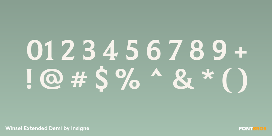 Winsel Extended Demi Font Poster #1