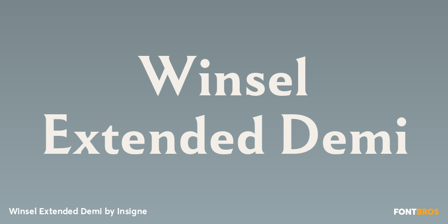 Winsel Extended Demi Poster