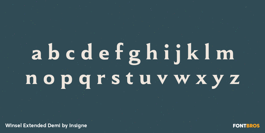 Winsel Extended Demi Font Poster #1