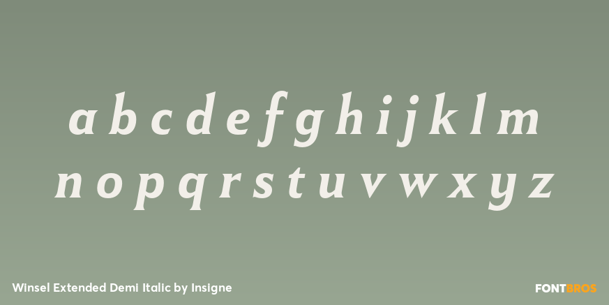 Winsel Extended Demi Italic Font Poster #3