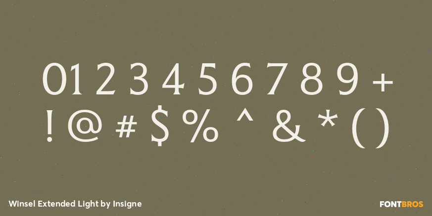 Winsel Extended Light Font Poster #4