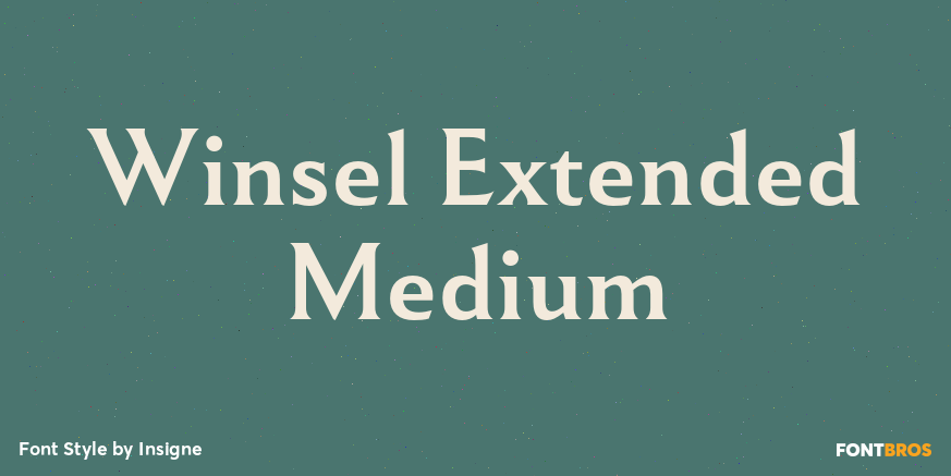 Winsel Extended Medium Poster