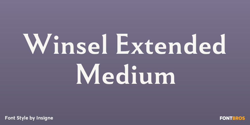 Winsel Extended Medium Poster