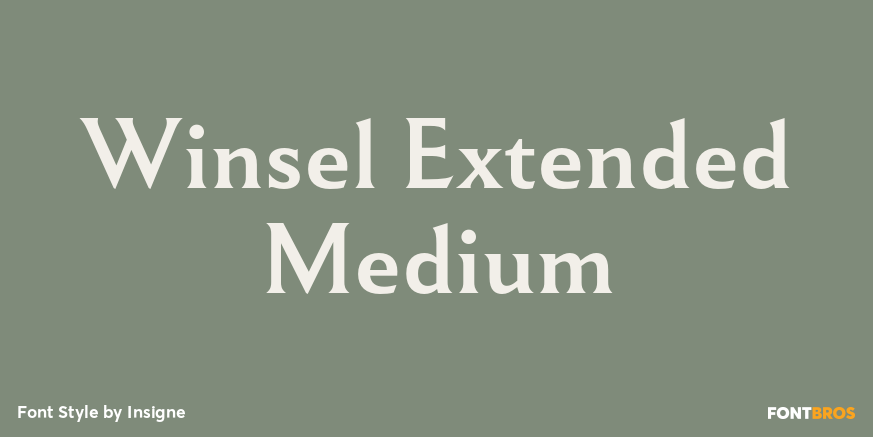 Winsel Extended Medium Poster