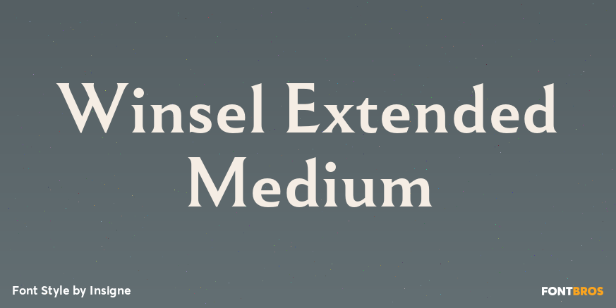 Winsel Extended Medium Poster