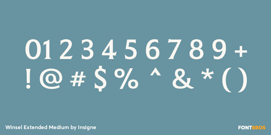 Winsel Extended Medium Font Poster #1