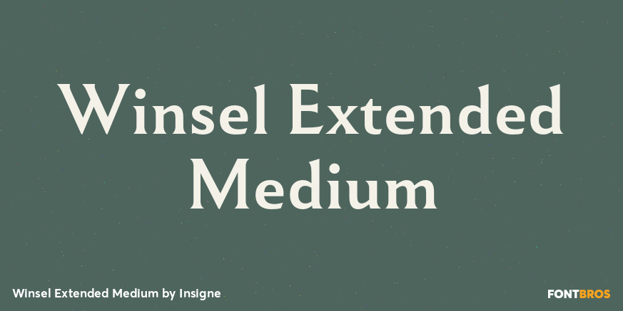 Winsel Extended Medium Poster