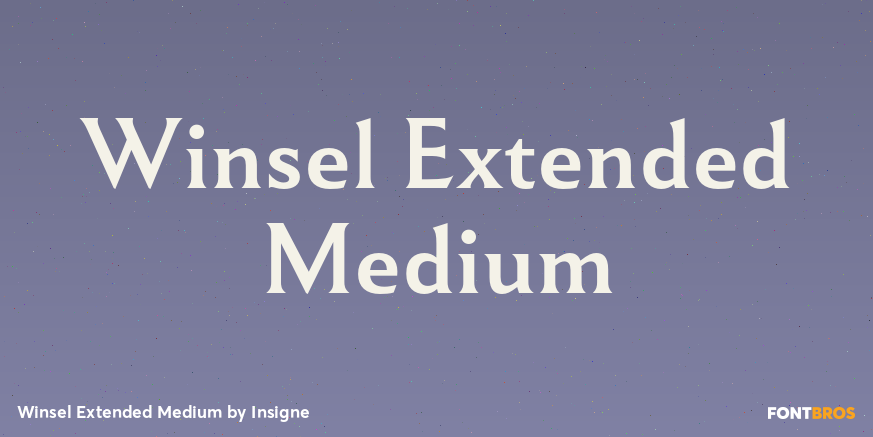 Winsel Extended Medium Poster