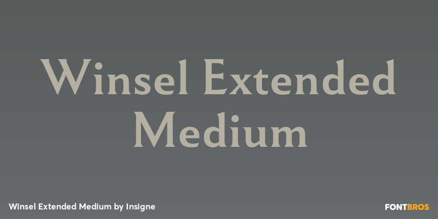 Winsel Extended Medium Poster