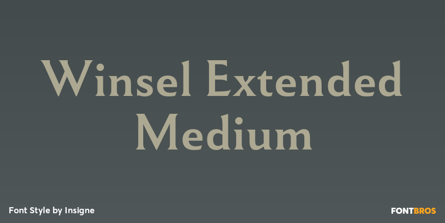 Winsel Extended Medium Poster