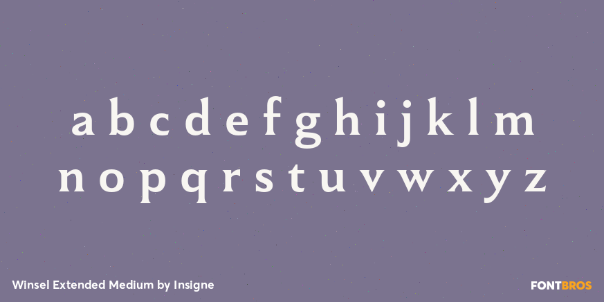 Winsel Extended Medium Font Poster #3