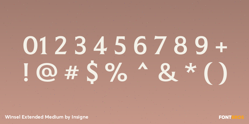 Winsel Extended Medium Font Poster #4