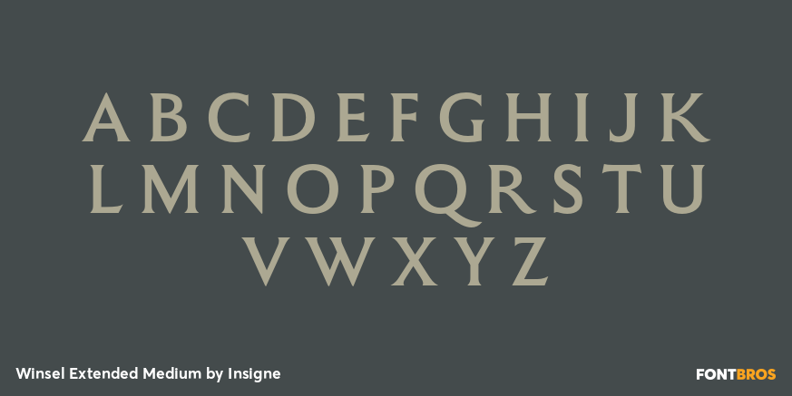 Winsel Extended Medium Font Poster #1