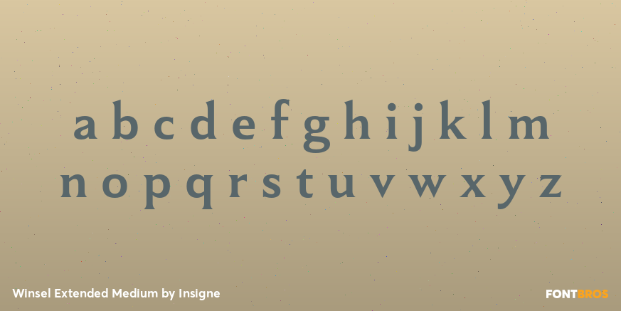 Winsel Extended Medium Font Poster #1