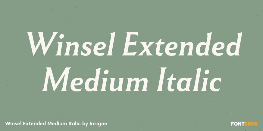 Winsel Extended Medium Italic Font Poster #1