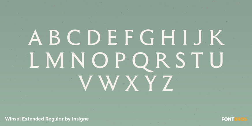 Winsel Extended Regular Font Poster #2