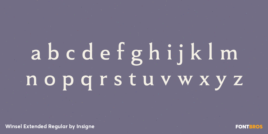 Winsel Extended Regular Font Poster #3