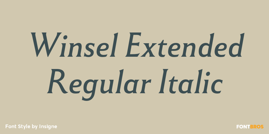 Winsel Extended Regular Italic Poster