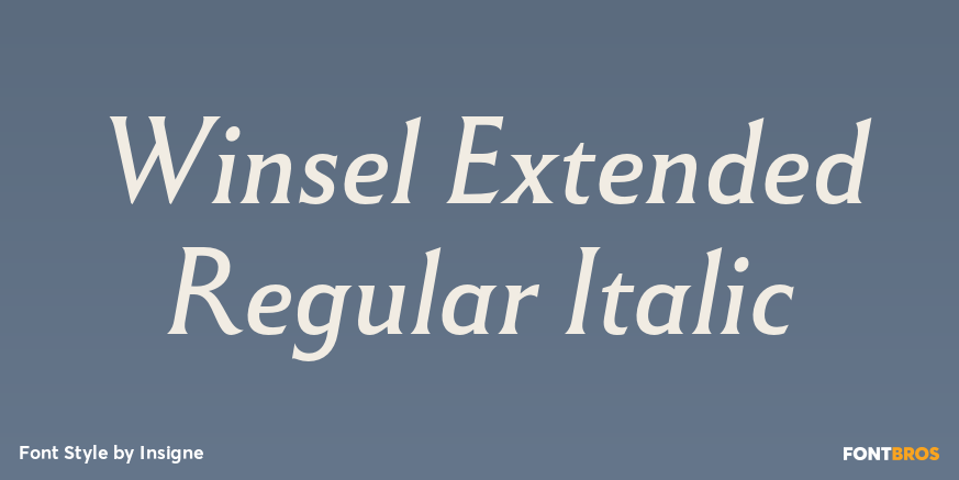 Winsel Extended Regular Italic Poster