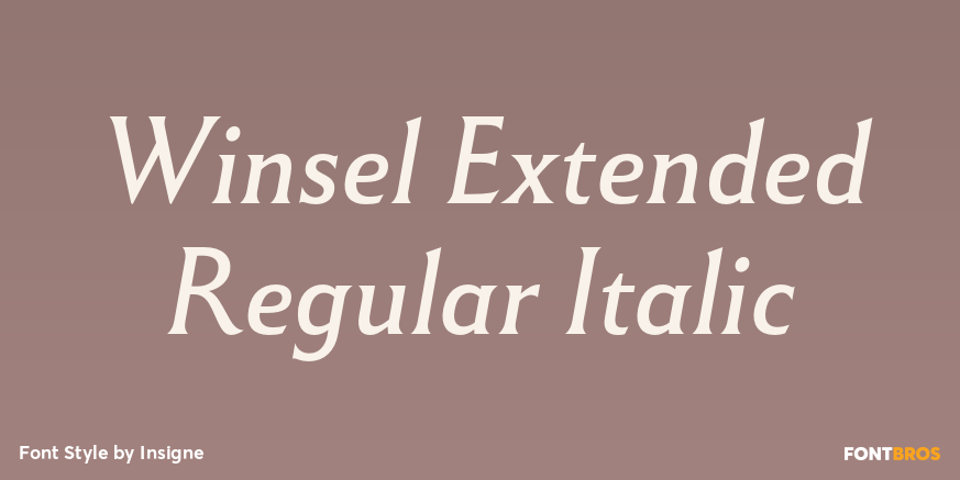 Winsel Extended Regular Italic Poster