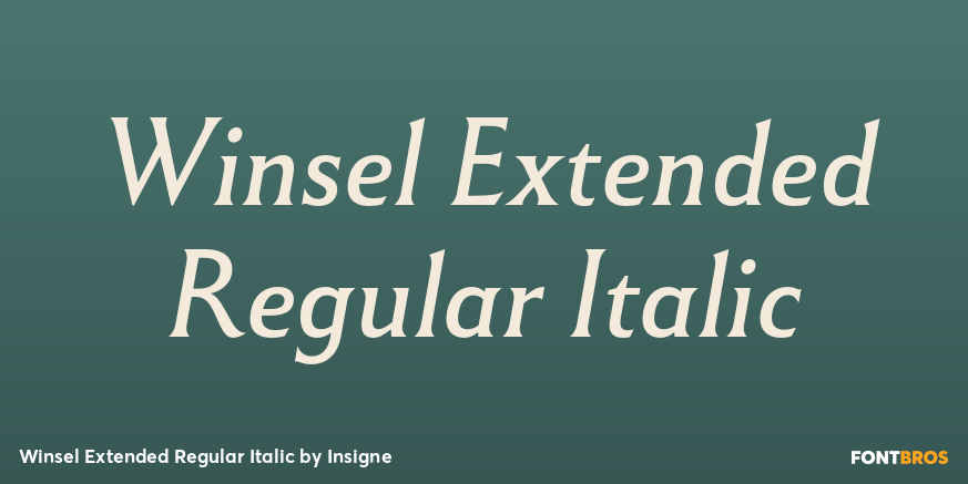 Winsel Extended Regular Italic Poster