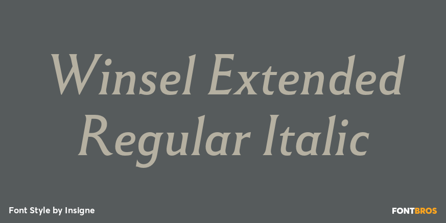 Winsel Extended Regular Italic Poster