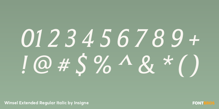 Winsel Extended Regular Italic Font Poster #1