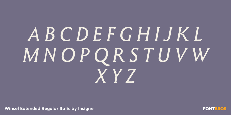 Winsel Extended Regular Italic Font Poster #2