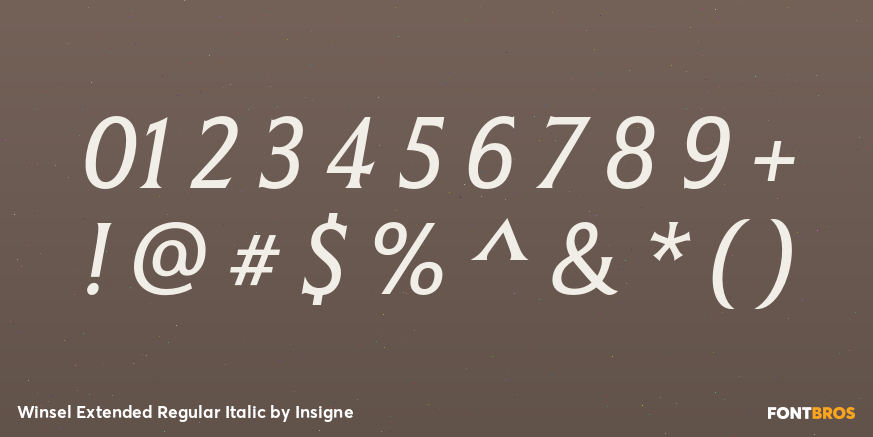 Winsel Extended Regular Italic Font Poster #4