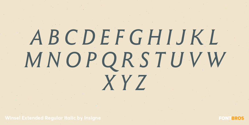 Winsel Extended Regular Italic Font Poster #1