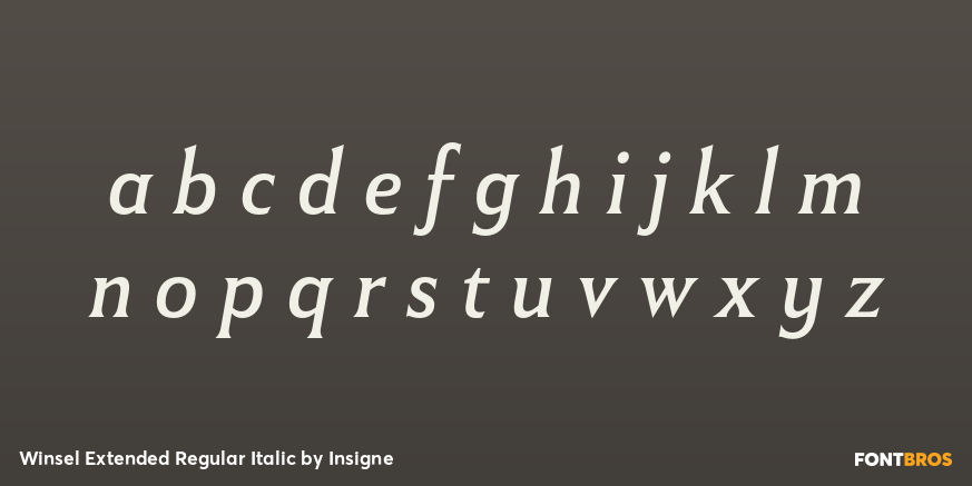 Winsel Extended Regular Italic Font Poster #1