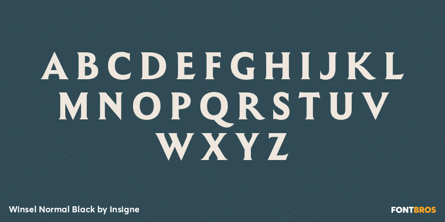 Winsel Normal Black Font Poster #2