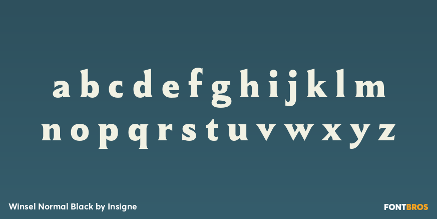 Winsel Normal Black Font Poster #3