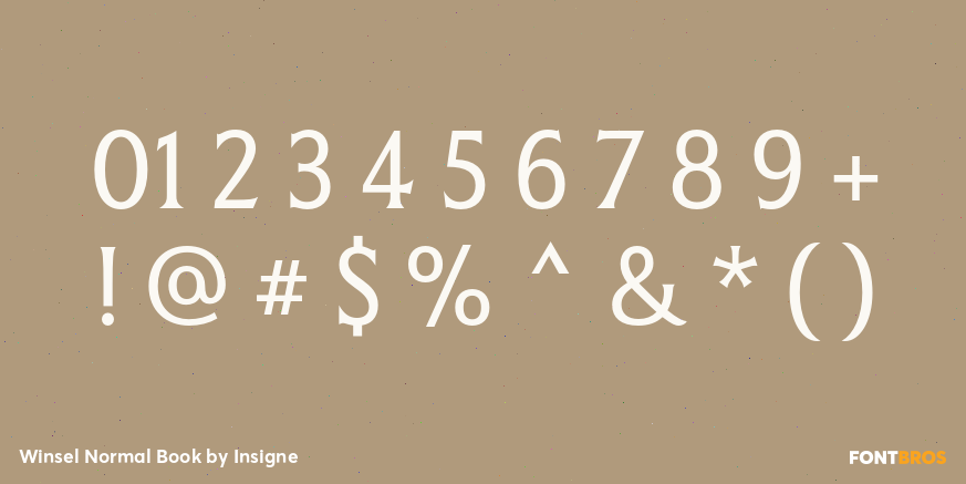 Winsel Normal Book Font Poster #4